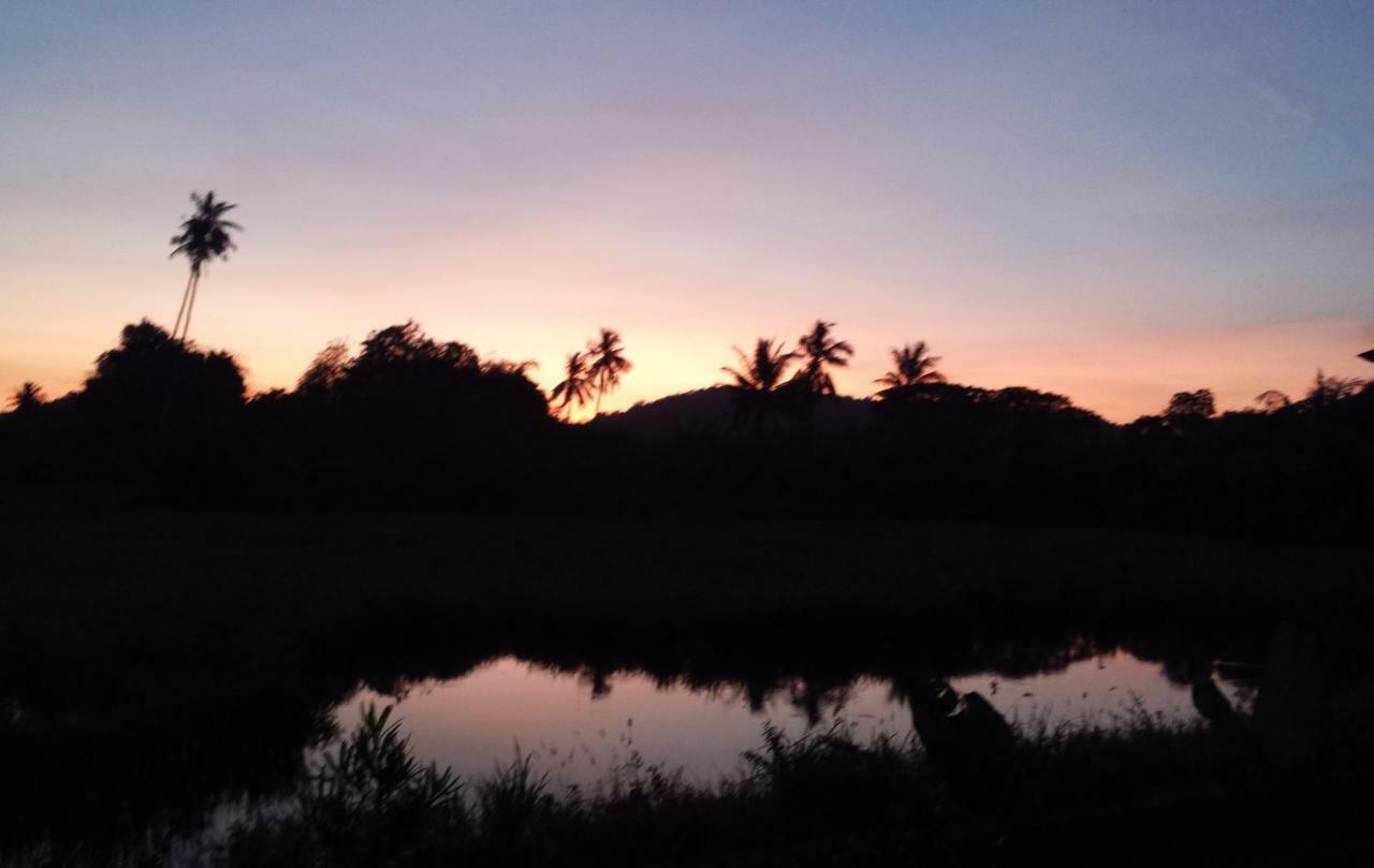 Tanabendang Banglos Pantai Cenang  Luaran gambar
