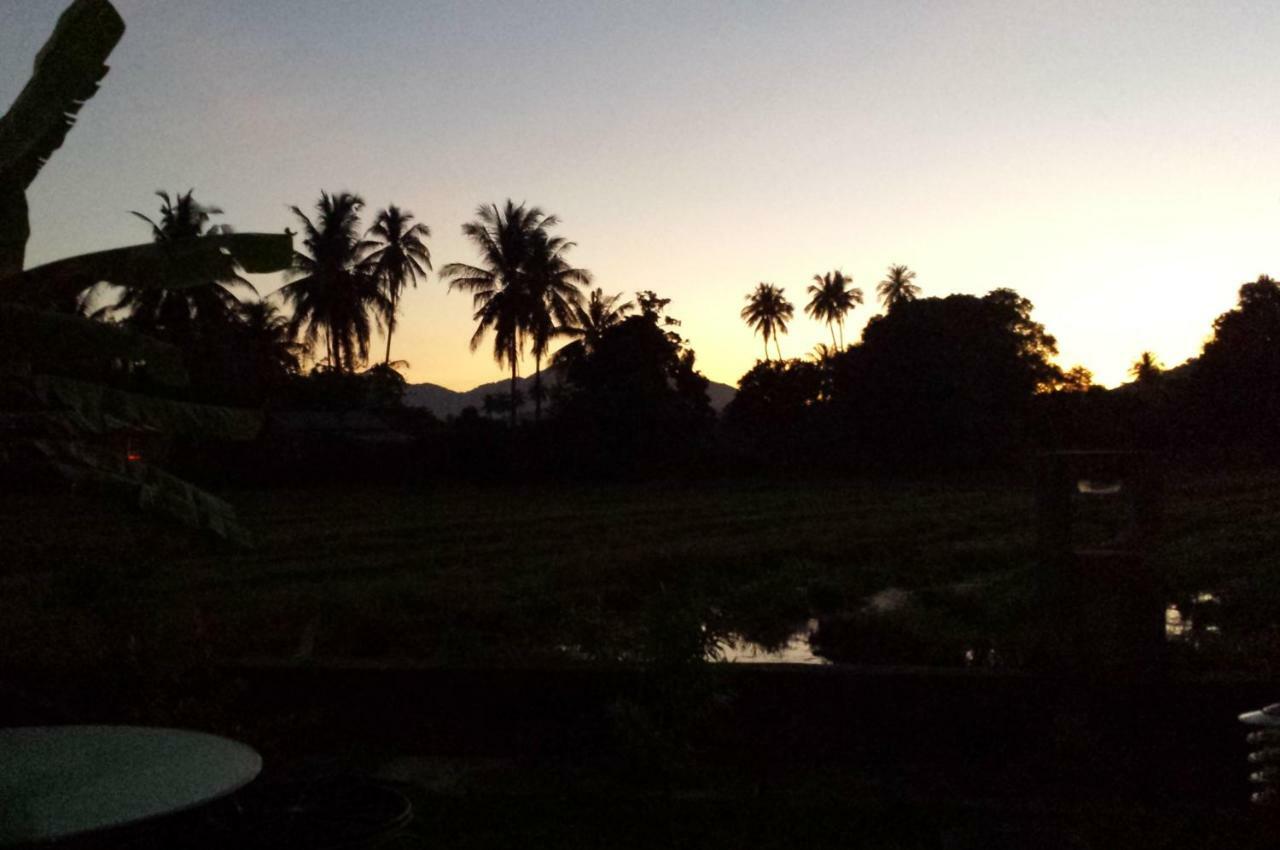 Tanabendang Banglos Pantai Cenang  Luaran gambar